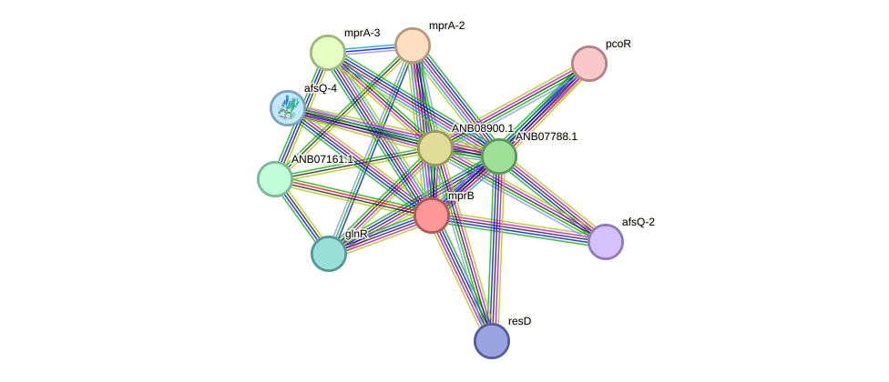 STRING protein interaction network