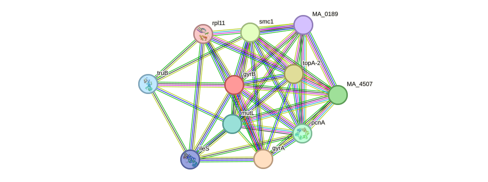 STRING protein interaction network