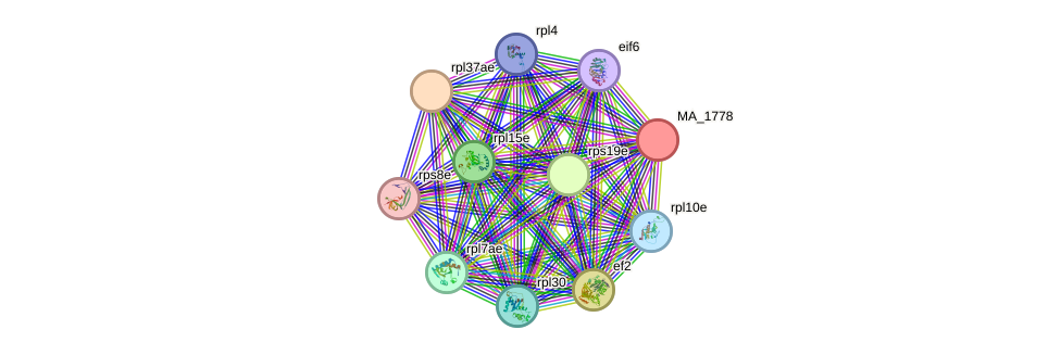 STRING protein interaction network