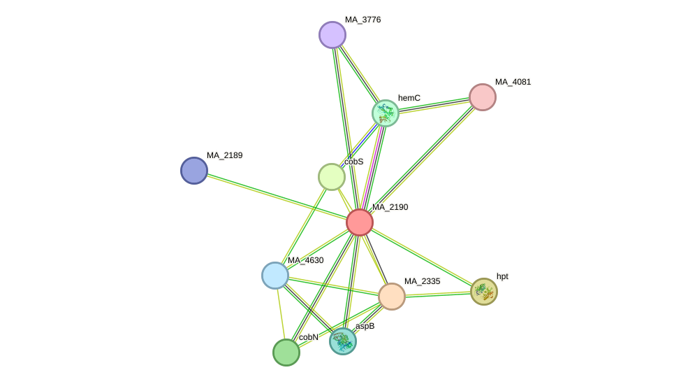 STRING protein interaction network