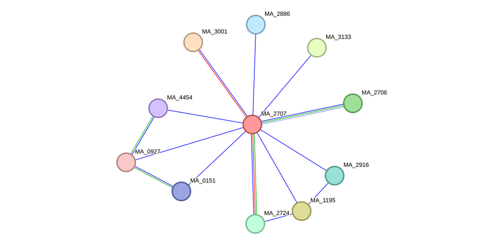 STRING protein interaction network