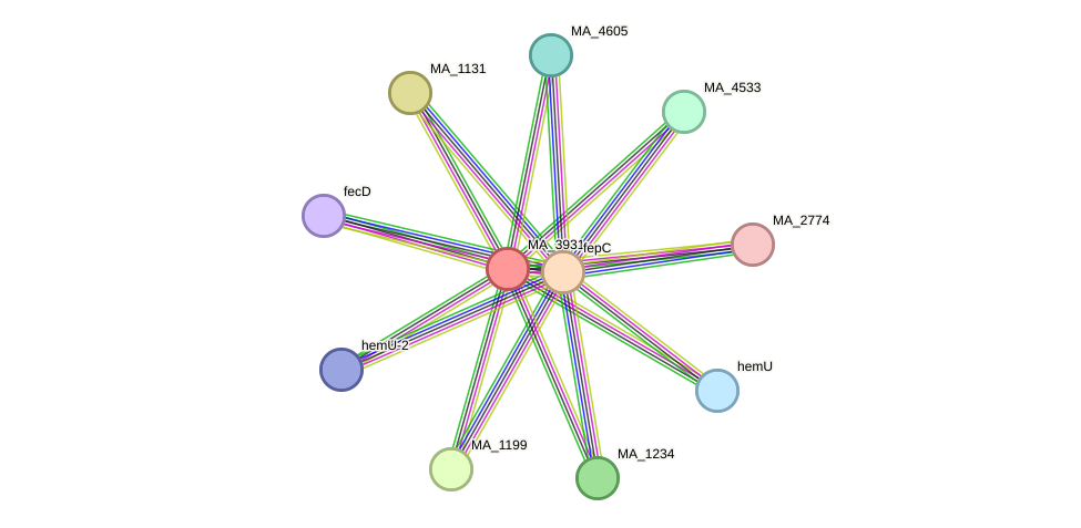 STRING protein interaction network