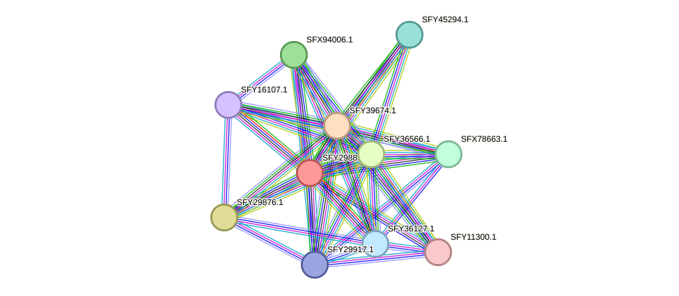 STRING protein interaction network