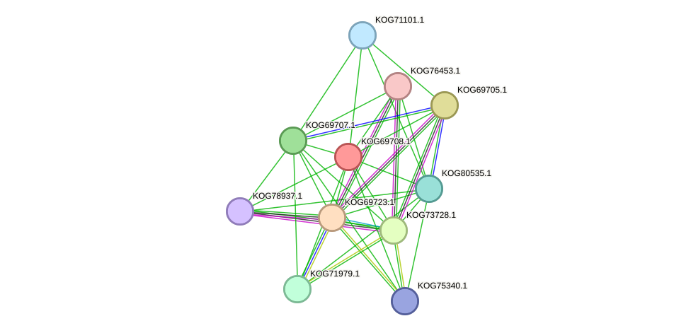 STRING protein interaction network