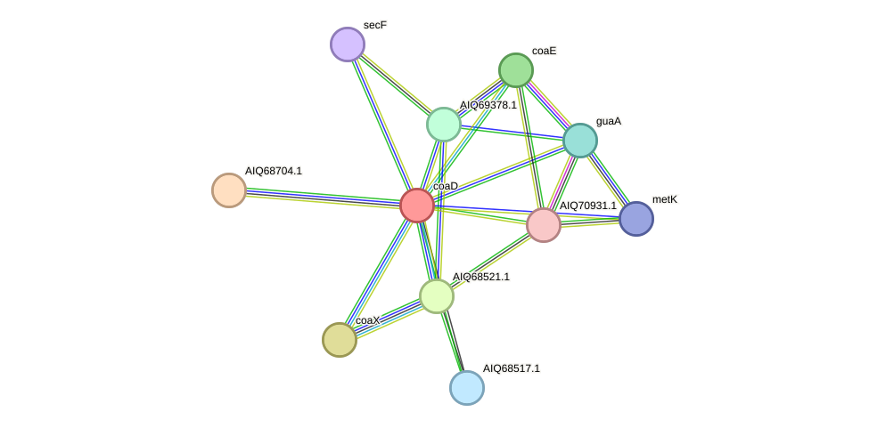 STRING protein interaction network