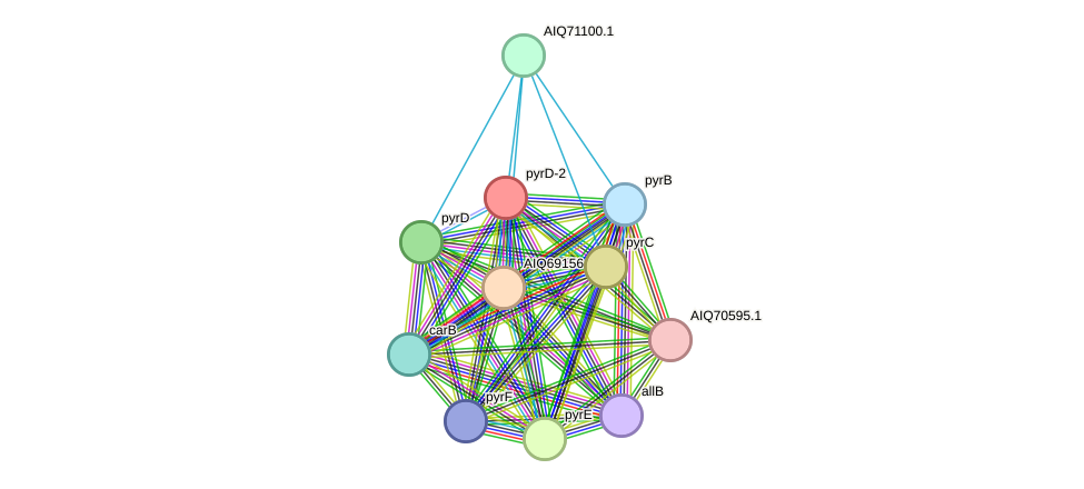 STRING protein interaction network