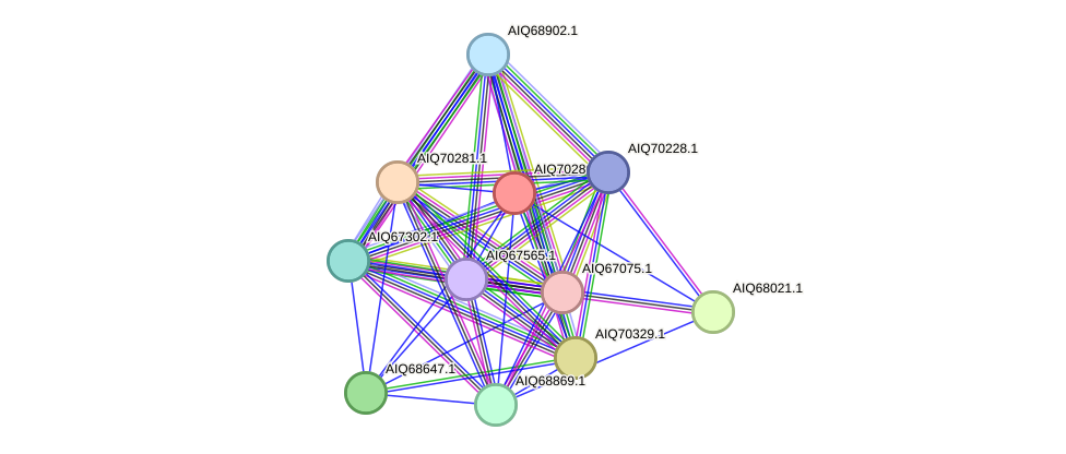 STRING protein interaction network