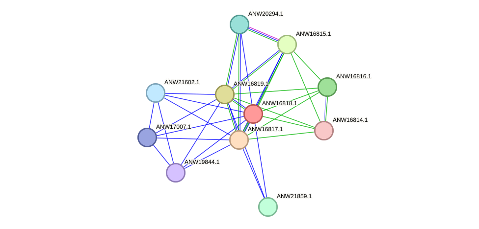 STRING protein interaction network