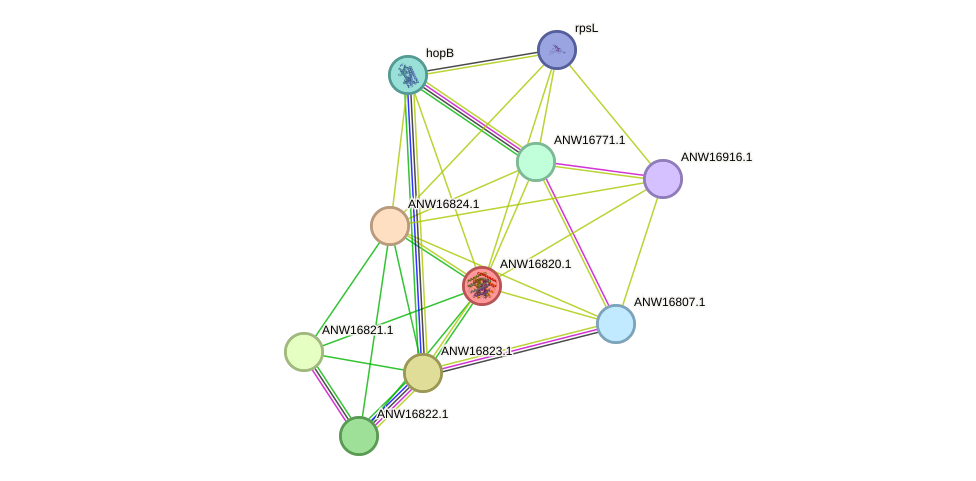 STRING protein interaction network