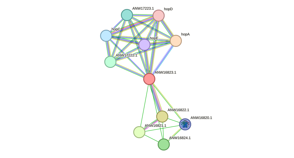 STRING protein interaction network