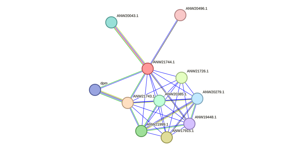 STRING protein interaction network