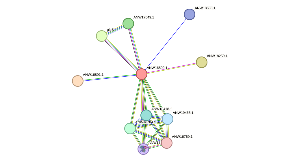 STRING protein interaction network