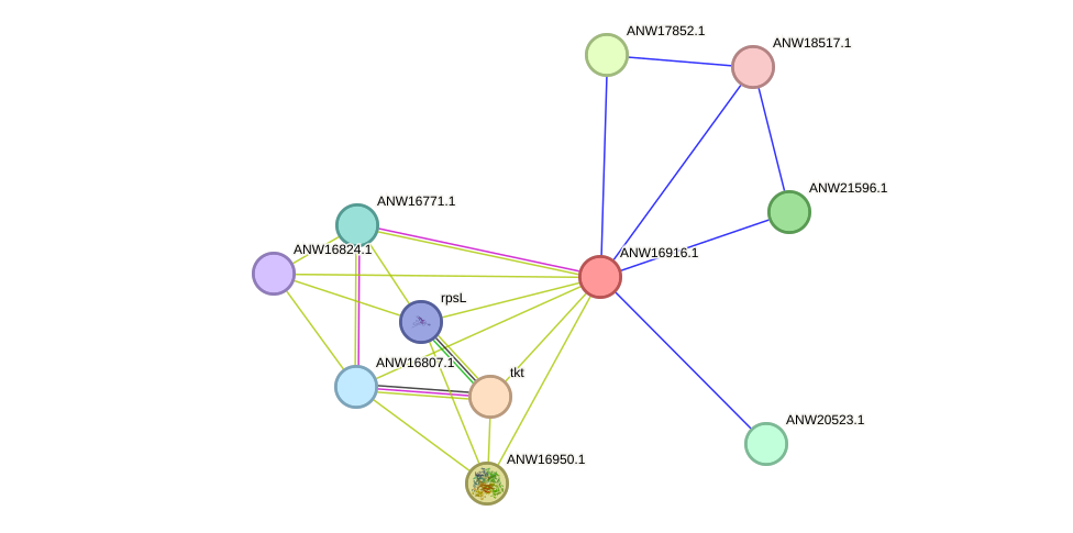 STRING protein interaction network