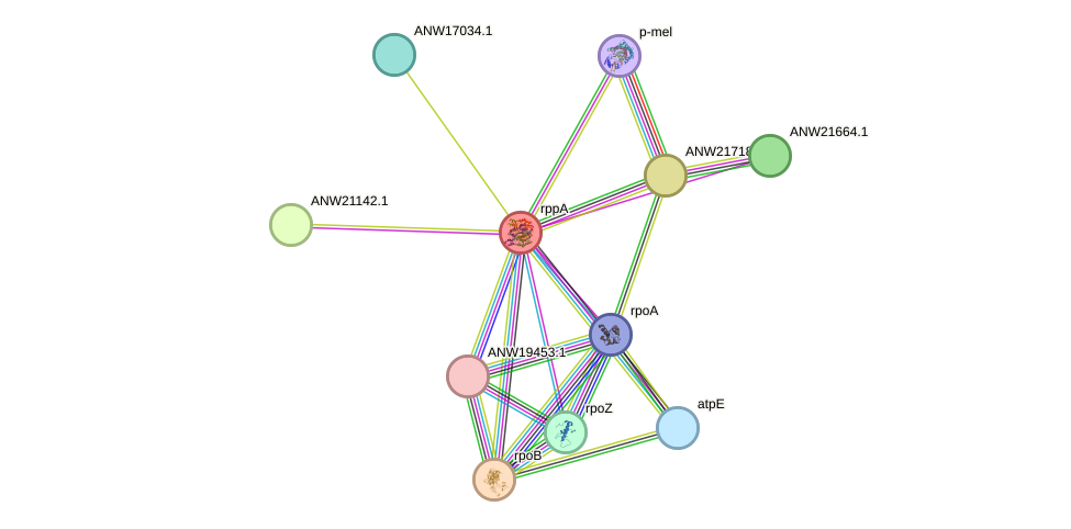 STRING protein interaction network