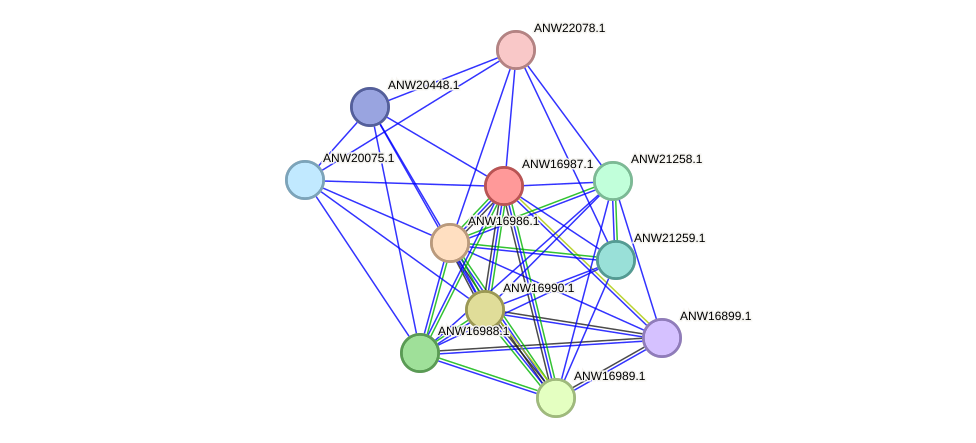 STRING protein interaction network
