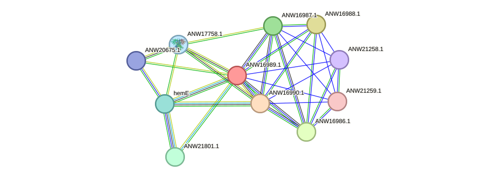 STRING protein interaction network