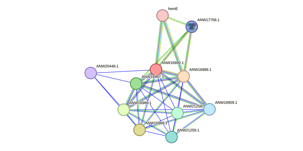 STRING protein interaction network