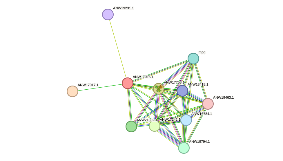 STRING protein interaction network