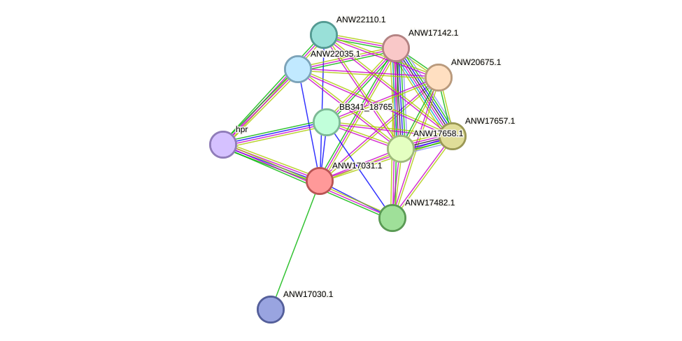 STRING protein interaction network