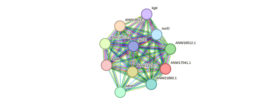 STRING protein interaction network