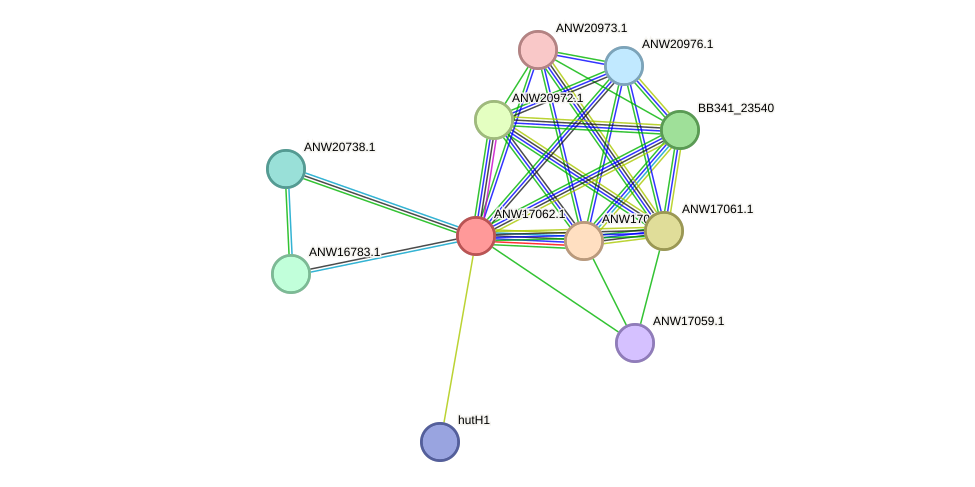 STRING protein interaction network
