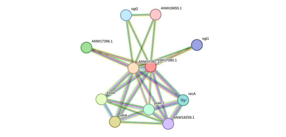 STRING protein interaction network