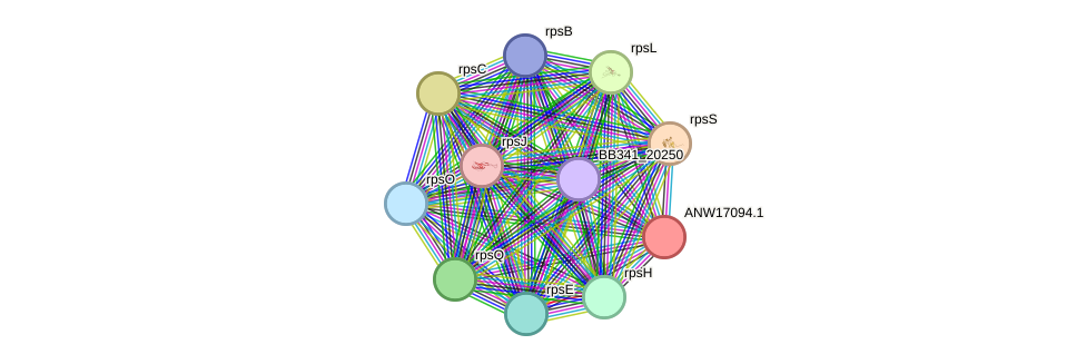 STRING protein interaction network