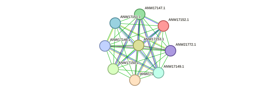 STRING protein interaction network