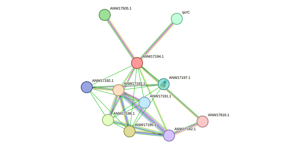 STRING protein interaction network