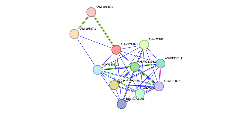 STRING protein interaction network