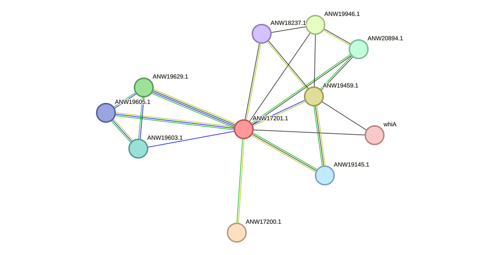 STRING protein interaction network