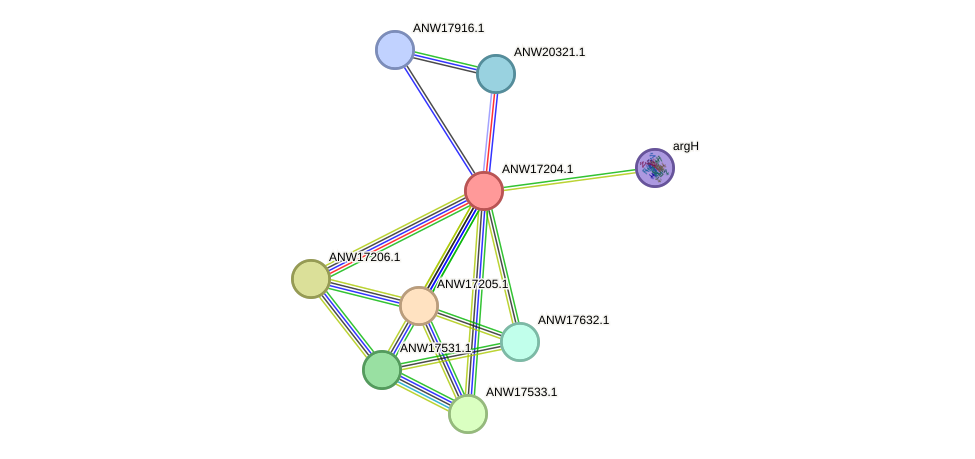 STRING protein interaction network
