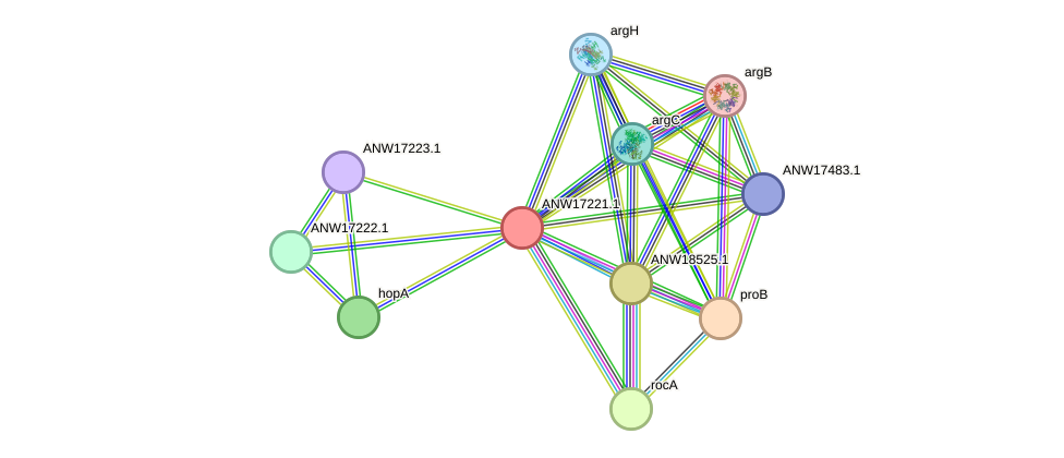 STRING protein interaction network
