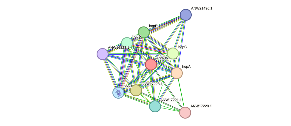 STRING protein interaction network