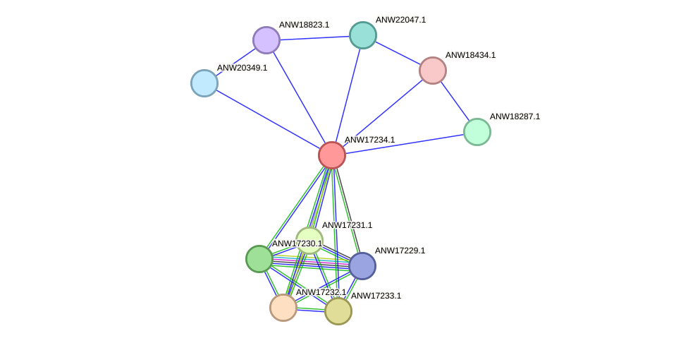 STRING protein interaction network