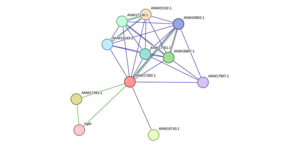 STRING protein interaction network