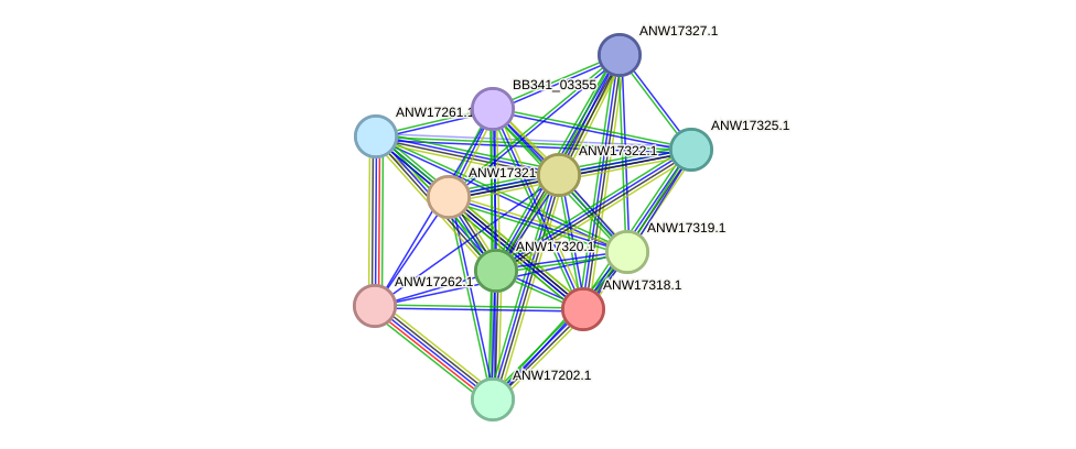 STRING protein interaction network