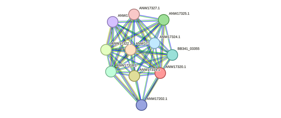 STRING protein interaction network