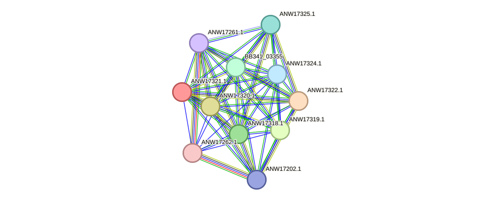STRING protein interaction network