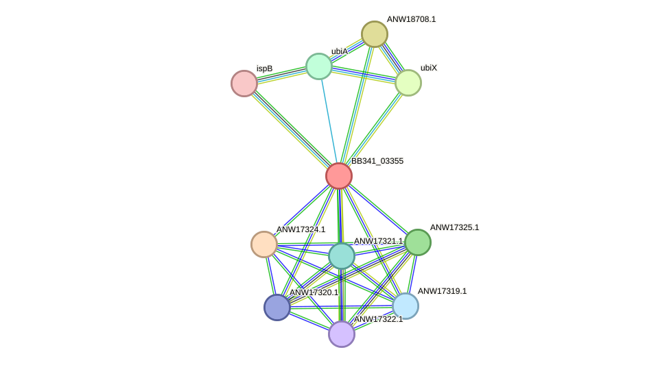 STRING protein interaction network