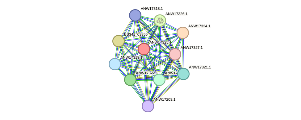 STRING protein interaction network