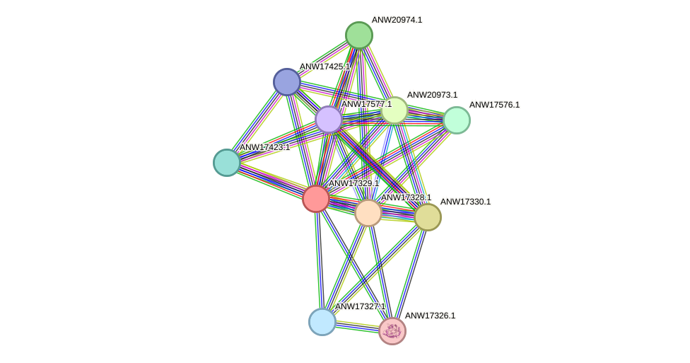STRING protein interaction network