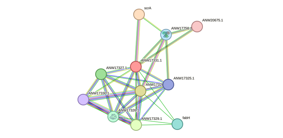 STRING protein interaction network