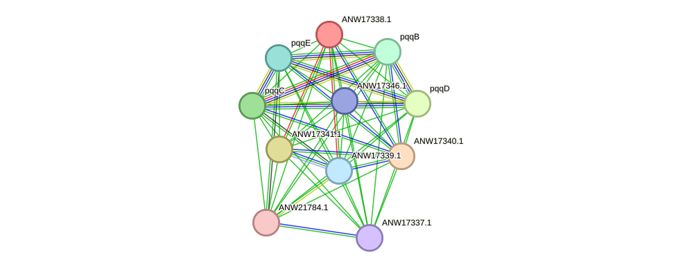STRING protein interaction network