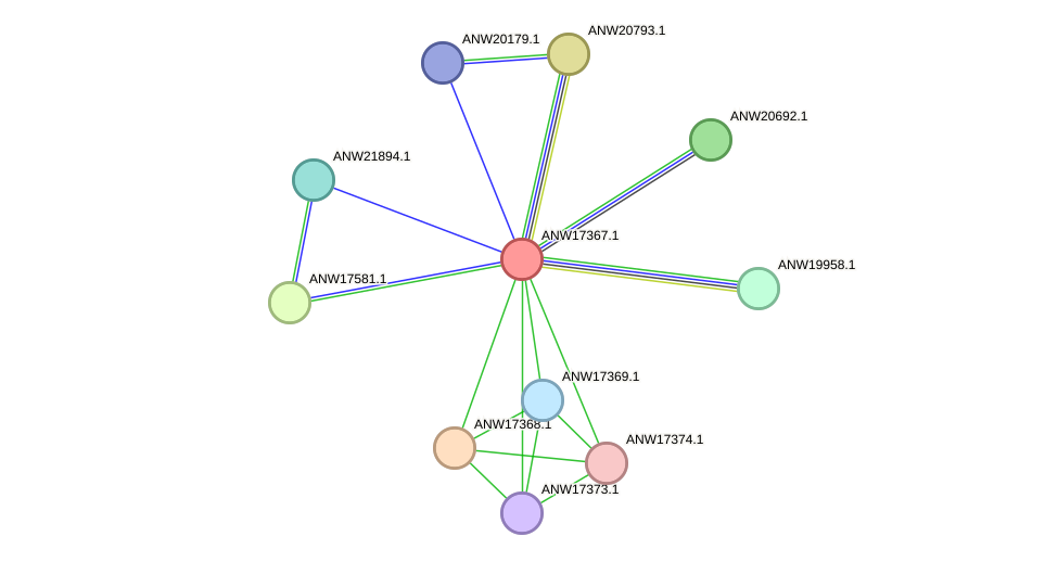 STRING protein interaction network