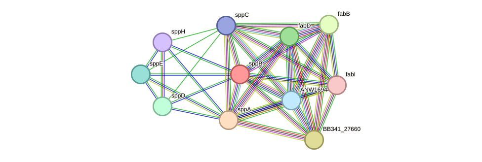 STRING protein interaction network