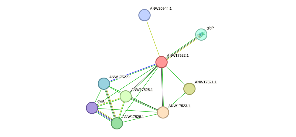STRING protein interaction network