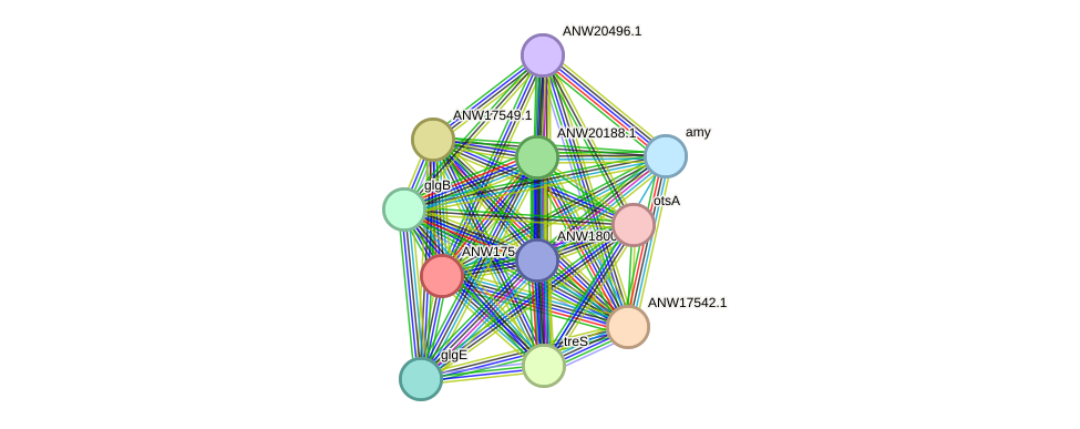 STRING protein interaction network
