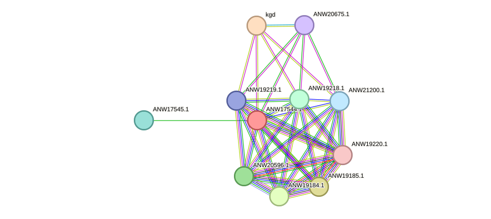 STRING protein interaction network