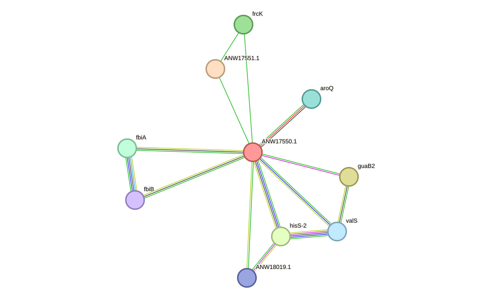 STRING protein interaction network